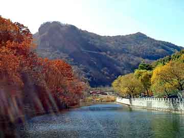 新澳天天开奖资料大全旅游团，不错小说